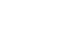 Ippodromi Partenopei srl