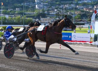 Corse 77 Gran Premio Lotteria e Regione Campania 3 Maggio 2026