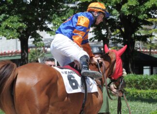 Agnano Galoppo lunedì 15 giugno (19.50) pronostici di Federico Raccichini.