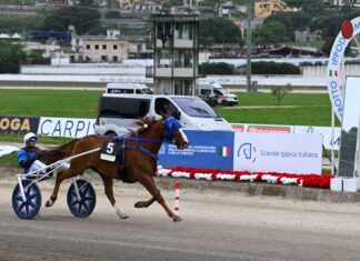Agnano Trotto giovedì 13 agosto (19.45) pronostici di Emilio Migliaccio