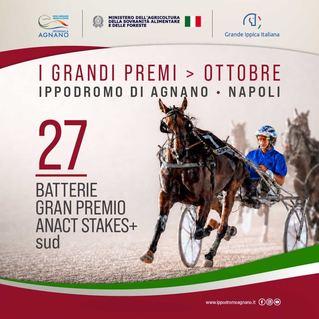 Batterie Gran Premio Anact Stakes Plus+ sud Batterie Gran Premio Anact Stakes Plus+ sud