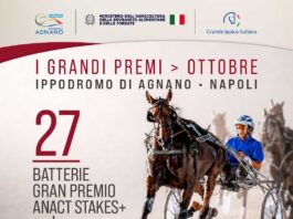 Batterie Gran Premio Anact Stakes Plus+ sud