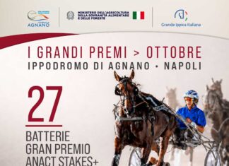 Batterie Gran Premio Anact Stakes Plus+ sud