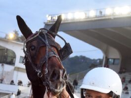 Agnano Trotto, il 27 ottobre le Batterie del Gran Premio Anact Stakes+ sud.
