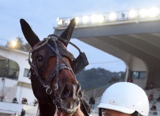 Agnano Trotto, il 27 ottobre le Batterie del Gran Premio Anact Stakes+ sud.