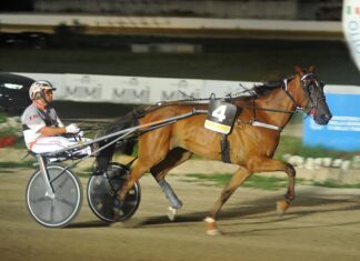 Agnano Trotto martedì 6 ottobre (15.00) pronostici di Emilio Migliaccio