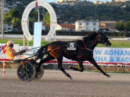Confermati alle Batterie del Gran Premio Anact Stakes Plus+ sud.